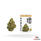 [DropShip] Modern Herb Co. THCA 3.5g Flower *Display of 6*