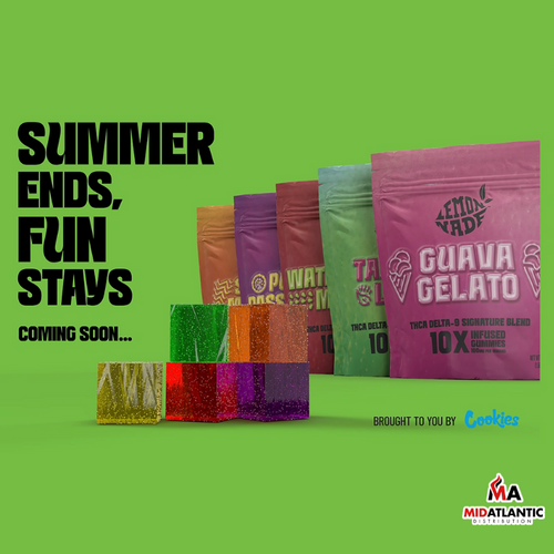 Cookies Lemonade Signature Infused THCA + D9 Blend Gummies (10 Gummies Per Pouch) *Display of 10*