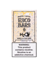 Esco Bars Mesh 6000 Vanilla Custard
