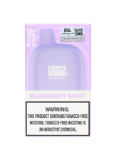 Flum Pebble 6000 Blueberry Mint