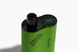 Fume Infinity Plus 4500 Blueberry Mint