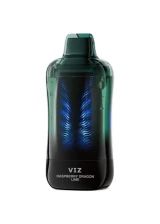 Lost Mary VIZ 55K: Raspberry Dragon Lime
