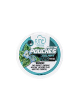 Fume Pouches Cool Mint