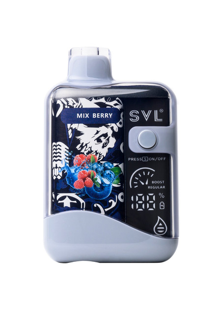 SVL BX12000 Pomo Brzz | GetPop