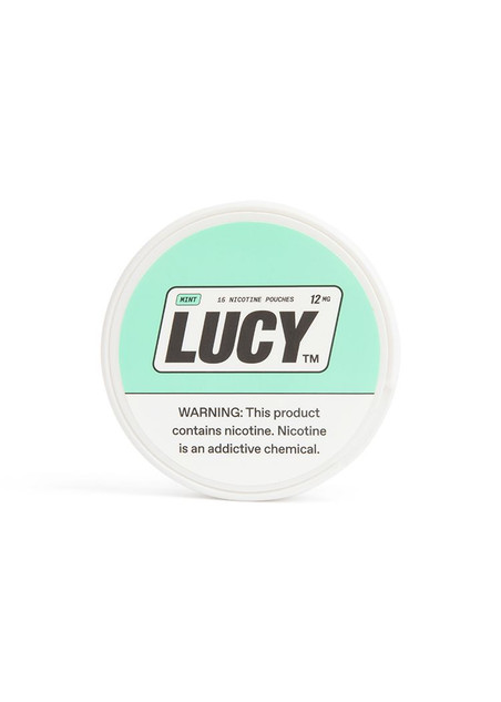 Lucy Pouches Mint