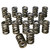 Dual Valve Springs - 1.437
