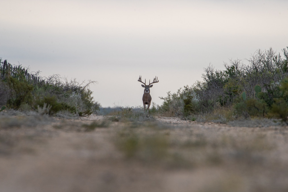 OUTDOOR ASSOCIATIONS