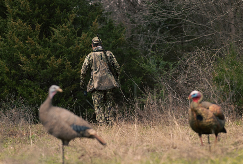 WHICH SHOTGUN IS BEST FOR YOU?