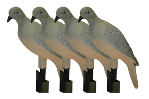 Mojo Outdoors HW9004 Clip OnDove Species Natural Plastic 4 Per Pack Mojo Outdoors HW9004 Clip OnDove Species Natural Plastic 4 Per Pack