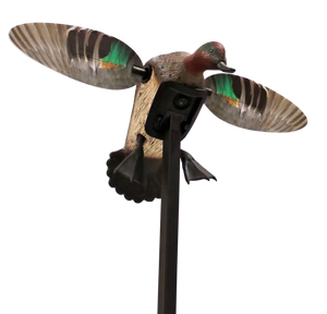 Mojo Outdoors HW24743P Elite Series Green Winged Teal Duck Species Natural Molded Plastic Features Remote Compatible Mojo Outdoors HW24743P Elite Series Green Winged Teal Duck Species Natural Molded Plastic Features Remote Compatible