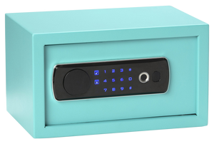 Bulldog BD5012 DuoDigital Keypad/Biometric/Key Entry Teal Powder Coated Steel Holds 1 Handgun LED Keypad Bulldog BD5012 DuoDigital Keypad/Biometric/Key Entry Teal Powder Coated Steel Holds 1 Handgun LED Keypad