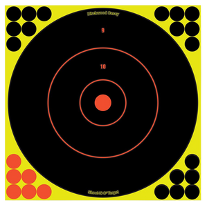 Birchwood Casey 34050 Shoot-N-C Bull's-Eye Bullseye Adhesive Paper Target 12" 50 Per Pkg