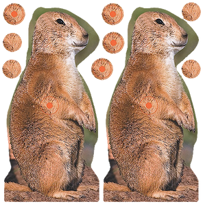 Birchwood Casey 34786 Shoot-N-CSelf-Adhesive Paper Brown 8" Prairie Chuck Includes Pasters 12 PK Birchwood Casey 34786 Shoot-N-CSelf-Adhesive Paper Brown 8" Prairie Chuck Includes Pasters 12 PK