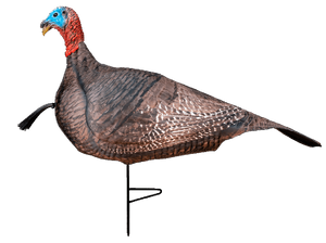 Primos 69069 Photoform Jake Turkey, Lightweight/Flexible/Collapsible Brown Foam, Realistic Coloration Primos 69069 Photoform Jake Turkey, Lightweight/Flexible/Collapsible Brown Foam, Realistic Coloration