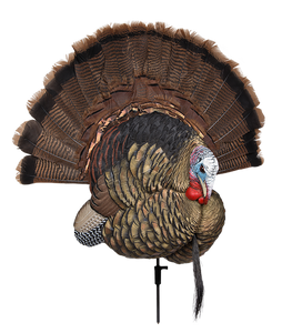 Avian X AVXAVX8021 Trophy TomTurkey Species Multi-Color Avian X AVXAVX8021 Trophy TomTurkey Species Multi-Color