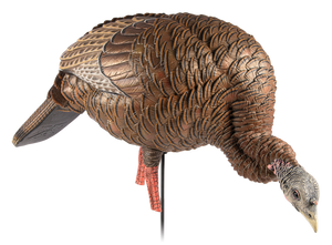 Avian X AVXAVX8107 HDR Feeder Hen Turkey Species Multi-Color Avian X AVXAVX8107 HDR Feeder Hen Turkey Species Multi-Color