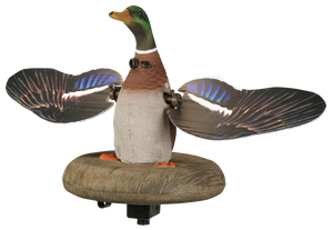 Higdon Outdoors 53072 XS Floating FlasherMallard Drake Species Multi Color Higdon Outdoors 53072 XS Floating FlasherMallard Drake Species Multi Color