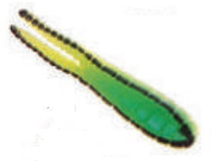 Betts Spin 1/8 Value Pack Split Tail Catalpa/Black Stripe Betts Spin 1/8 Value Pack Split Tail Catalpa/Black Stripe