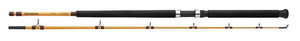 Daiwa FT Surf Spinning Rod 10' 2pc M Daiwa FT Surf Spinning Rod 10' 2pc M