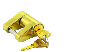 TH Marine Trailer Coupler Lock TH Marine Trailer Coupler Lock