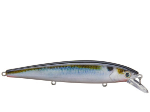 Strike King KVD Jerkbait 3 Hook 5.5\" Natural Shad Strike King KVD Jerkbait 3 Hook 5.5\" Natural Shad