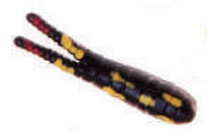 Betts Spin 1/16 Value Pack Split Tail Black Coach Dog Betts Spin 1/16 Value Pack Split Tail Black Coach Dog