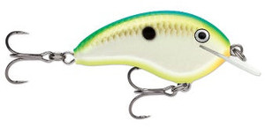 Rapala Ott Garage Tiny 4' 5/16 2.25" Citrus Shad Rapala Ott Garage Tiny 4' 5/16 2.25" Citrus Shad