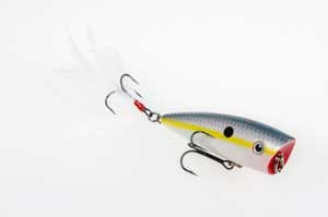 Strike King KVD Splash Jr 3 3/4" Sexy Shad Strike King KVD Splash Jr 3 3/4" Sexy Shad