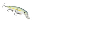 Strike King KVD Jerkbait 3 Hook 5.5" Chartreuse Sexy Shad Strike King KVD Jerkbait 3 Hook 5.5" Chartreuse Sexy Shad