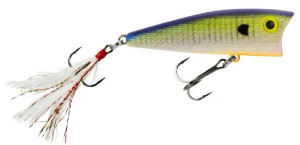Rebel Big Pop-R 9/16 31/8" Bluegill Rebel Big Pop-R 9/16 31/8" Bluegill
