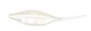 Bass A Tiny Shad 1.5" 15ct Limetruese Bass A Tiny Shad 1.5" 15ct Limetruese