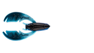 NetBaitBF Paca Chunk Sr 3.25in Black/Blue 5ct NetBaitBF Paca Chunk Sr 3.25in Black/Blue 5ct