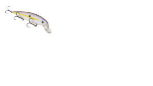 Strike King KVD Jerkbait 3 Hook 5.5\" Chartreuse Shad Strike King KVD Jerkbait 3 Hook 5.5\" Chartreuse Shad