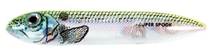 Heddon Preminum Super Spook 5" 7/8 Okie Shad Heddon Preminum Super Spook 5" 7/8 Okie Shad