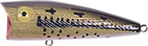Rebel Pop-R 1/4 Baby Bass Rebel Pop-R 1/4 Baby Bass