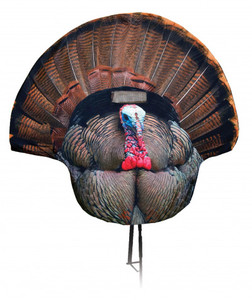 Montana Decoy Decoy Fanatic 2D Turkey Gobbler