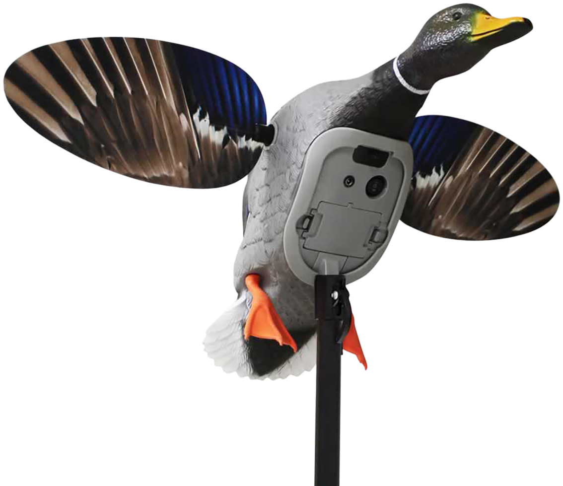 Mojo Outdoors HW2520MOJO Mallard Elite Mallards Species Multi Color Plastic