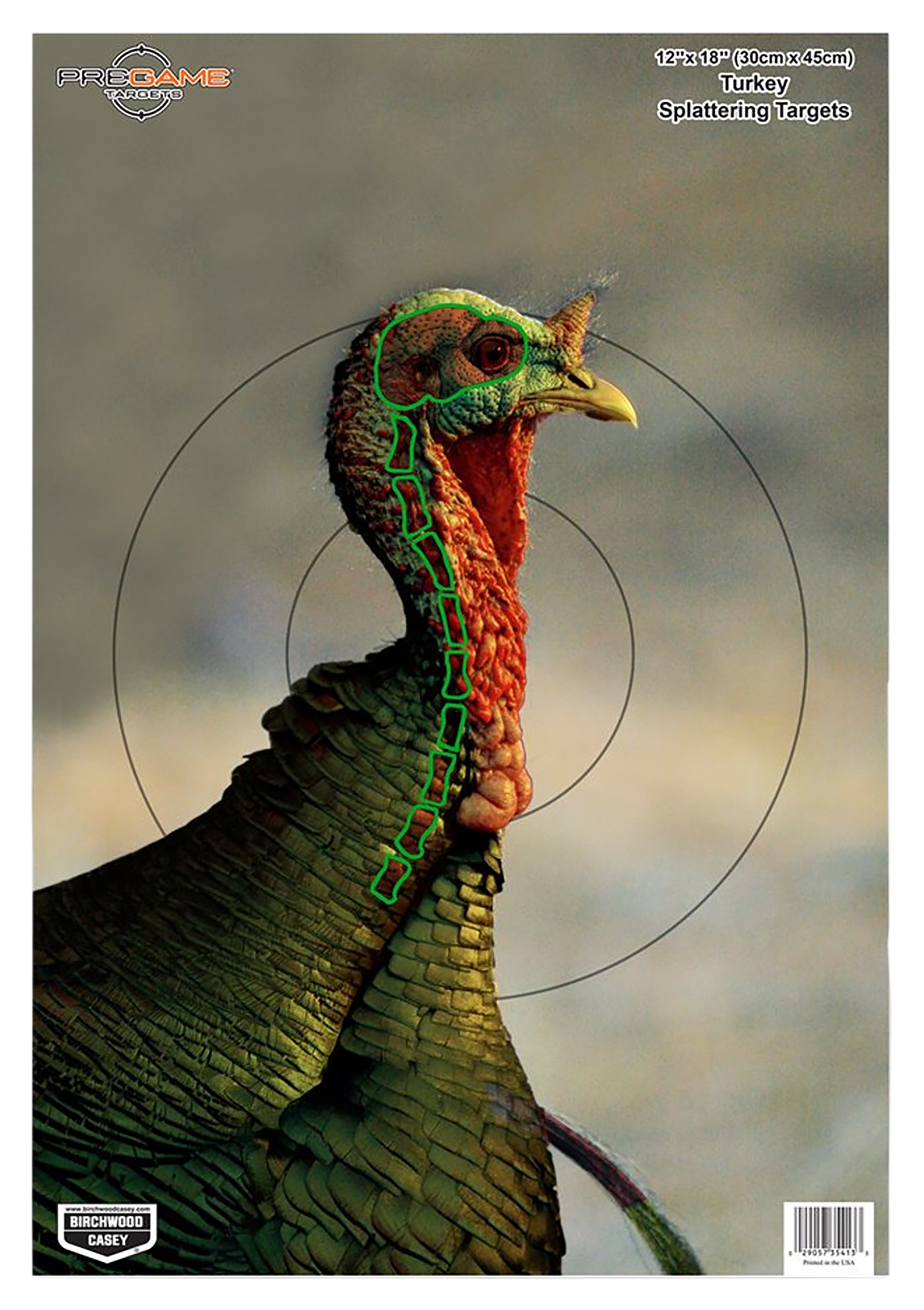 Birchwood Casey 35403 PregameTurkey Paper Hanging Universal 12" x 18" Multi-Color 8 Per Pkg