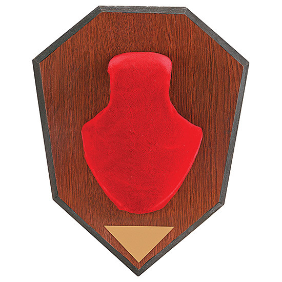 Allen Red Mounting Kit