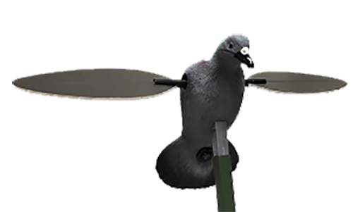Mojo Outdoors HW2410 PigeonSpecies Multi Color Plastic