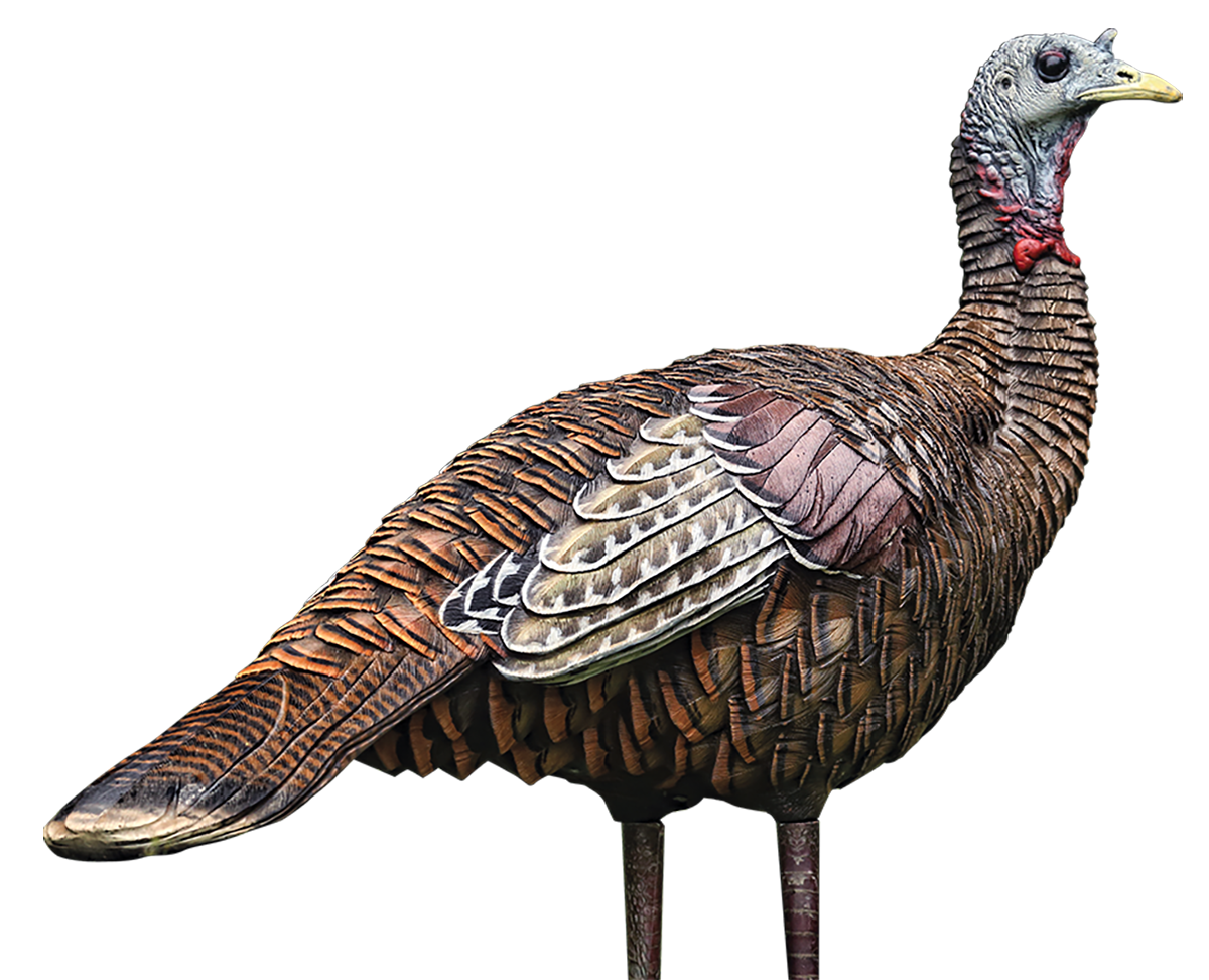 Avian X AVXAVX8006 LCD Lookout Hen Turkey Species Multi Color Dura-Rubber