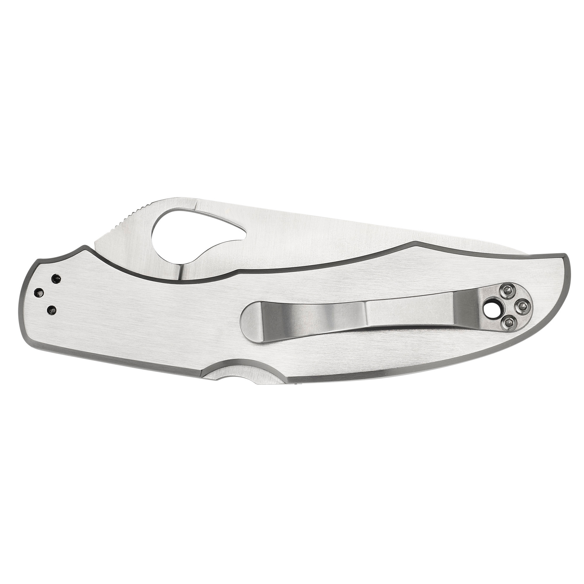 Spyderco BY03P2 Byrd Cara Cara 2 3.75" Folding Spear Point Plain 8Cr13MoV SS Blade Stainless Steel Handle Includes Pocket Clip