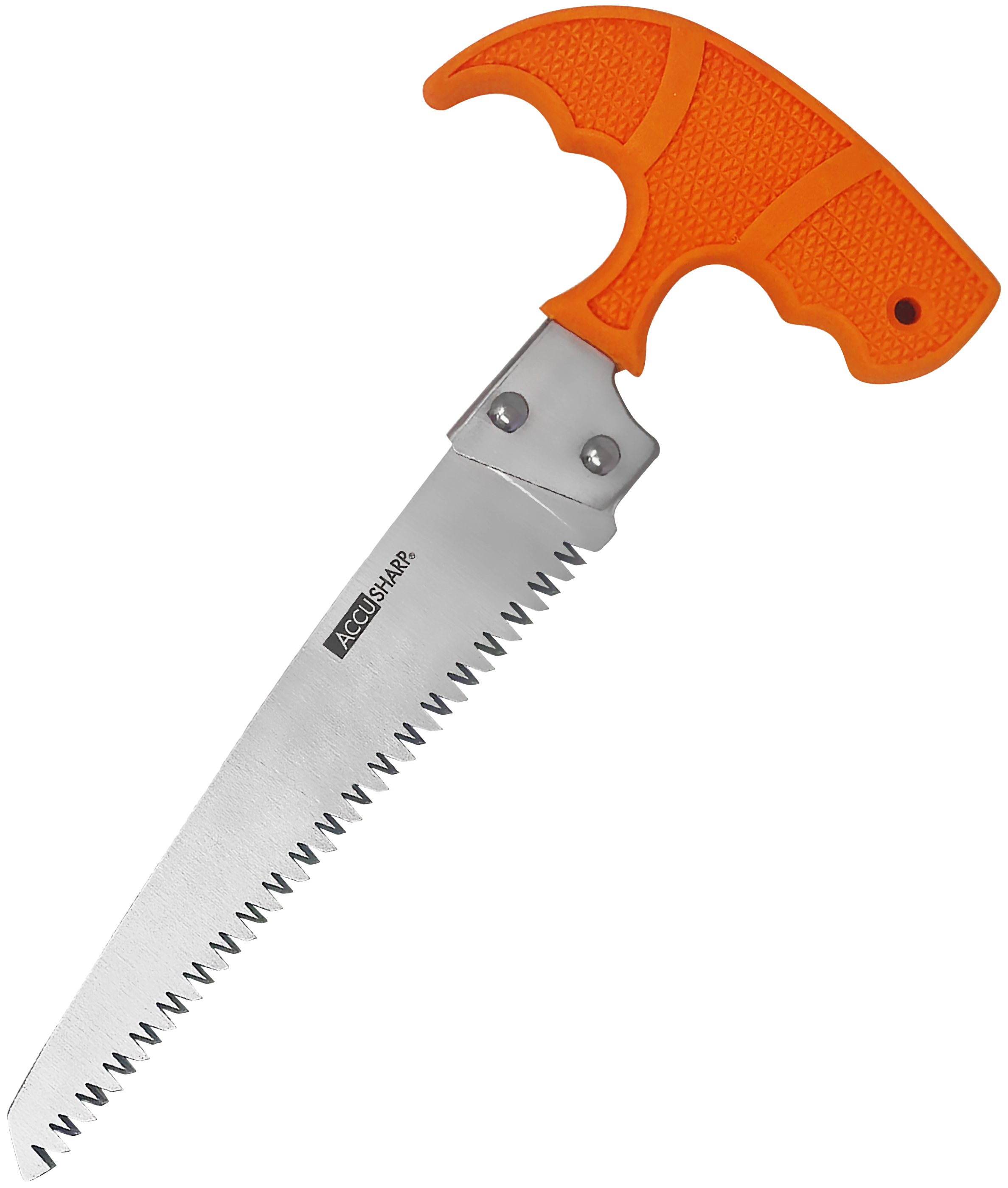 AccuSharp 730C Bone SawFixed Saw 6" Stainless Steel Blade/ Blaze Orange T-Shaped Handle