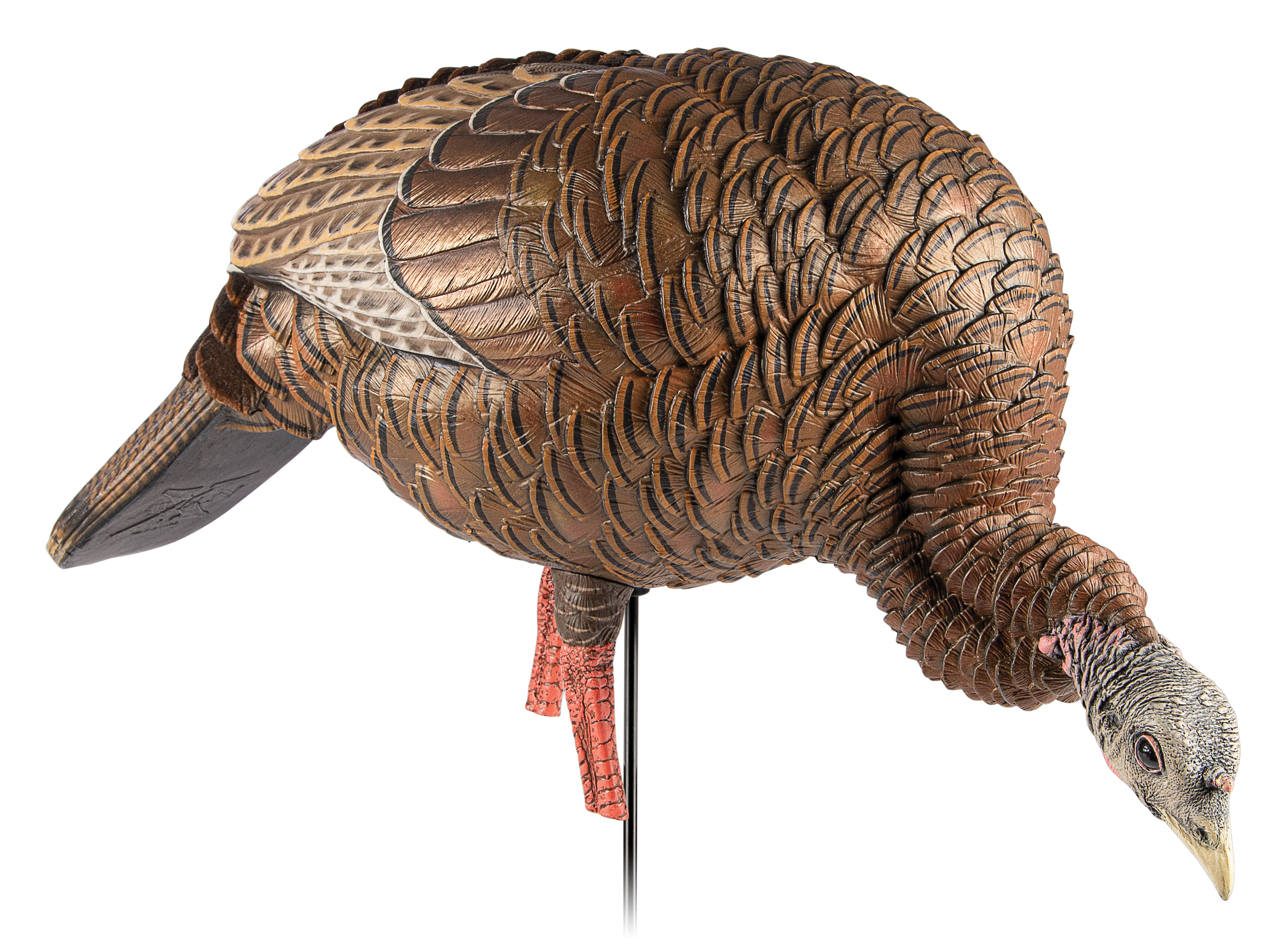 Avian X AVXAVX8107 HDR Feeder Hen Turkey Species Multi-Color