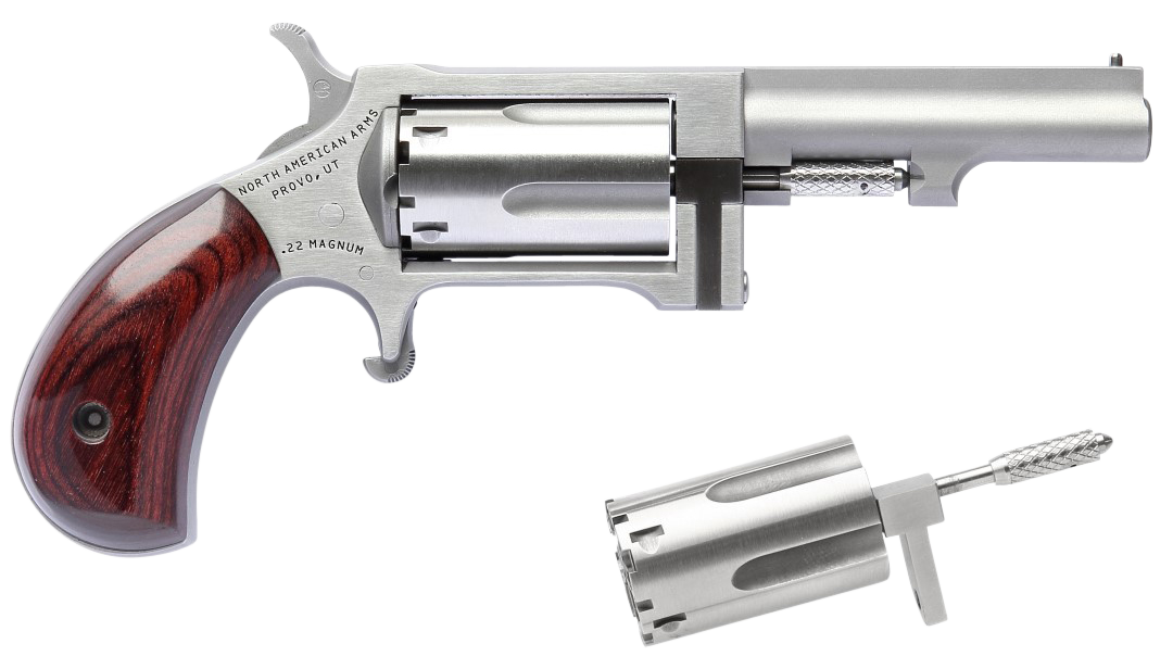 North American Arms Sidewinder Small 2.5" .22 Mag/.22lr Revolver SS