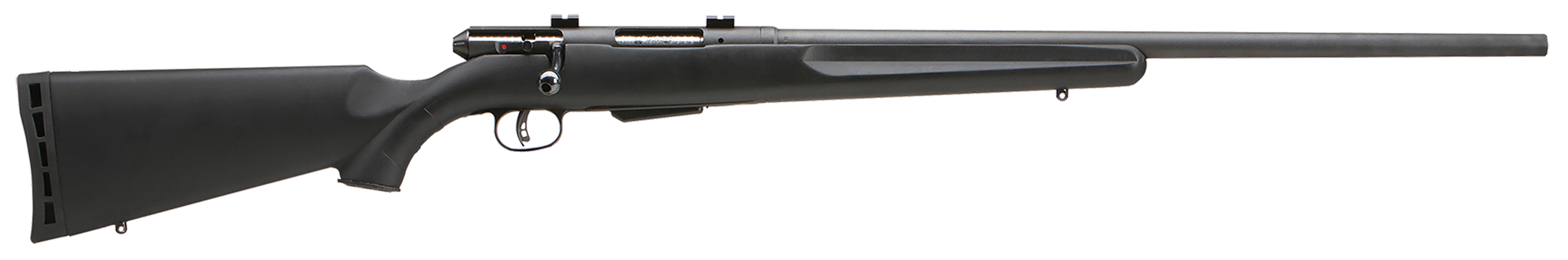 Savage Arms 25 Walking Varminter 204 Ruger 4 Rd Varmint