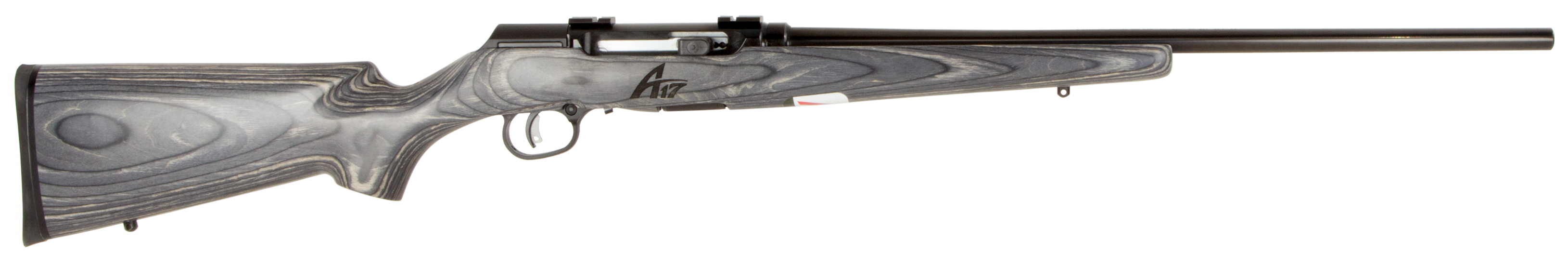 Savage Arms A17 Sporter 17 HMR 10+1 Semi Auto Delayed Blowback Rifle Fixed
