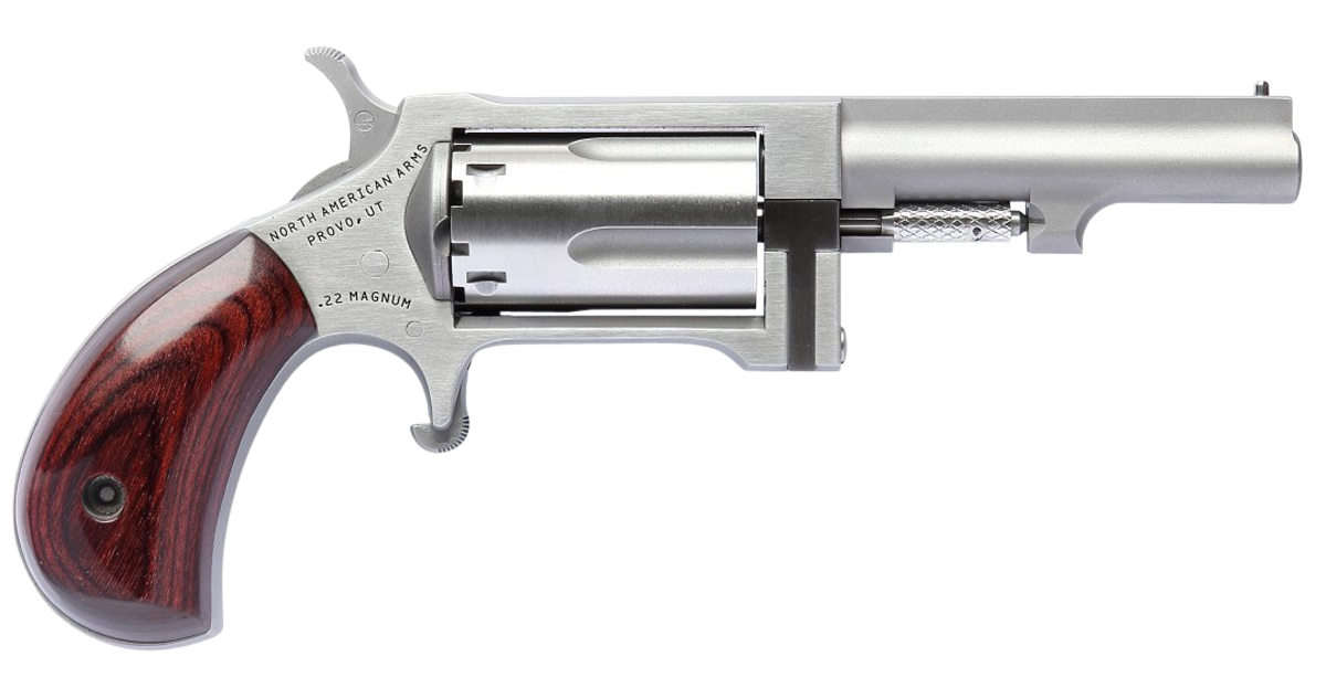 North American Arms Sidewinder Small 2.5" .22 Mag Revolver SS - SW250