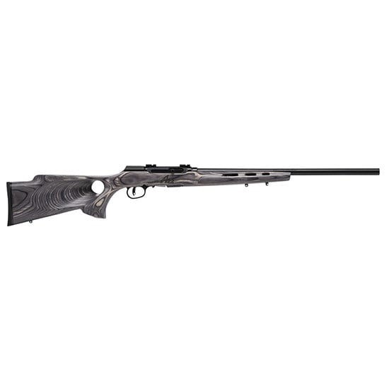Savage Arms A22 Mag Target 22 WMR 10 Rd Semi Auto Straight Blowback