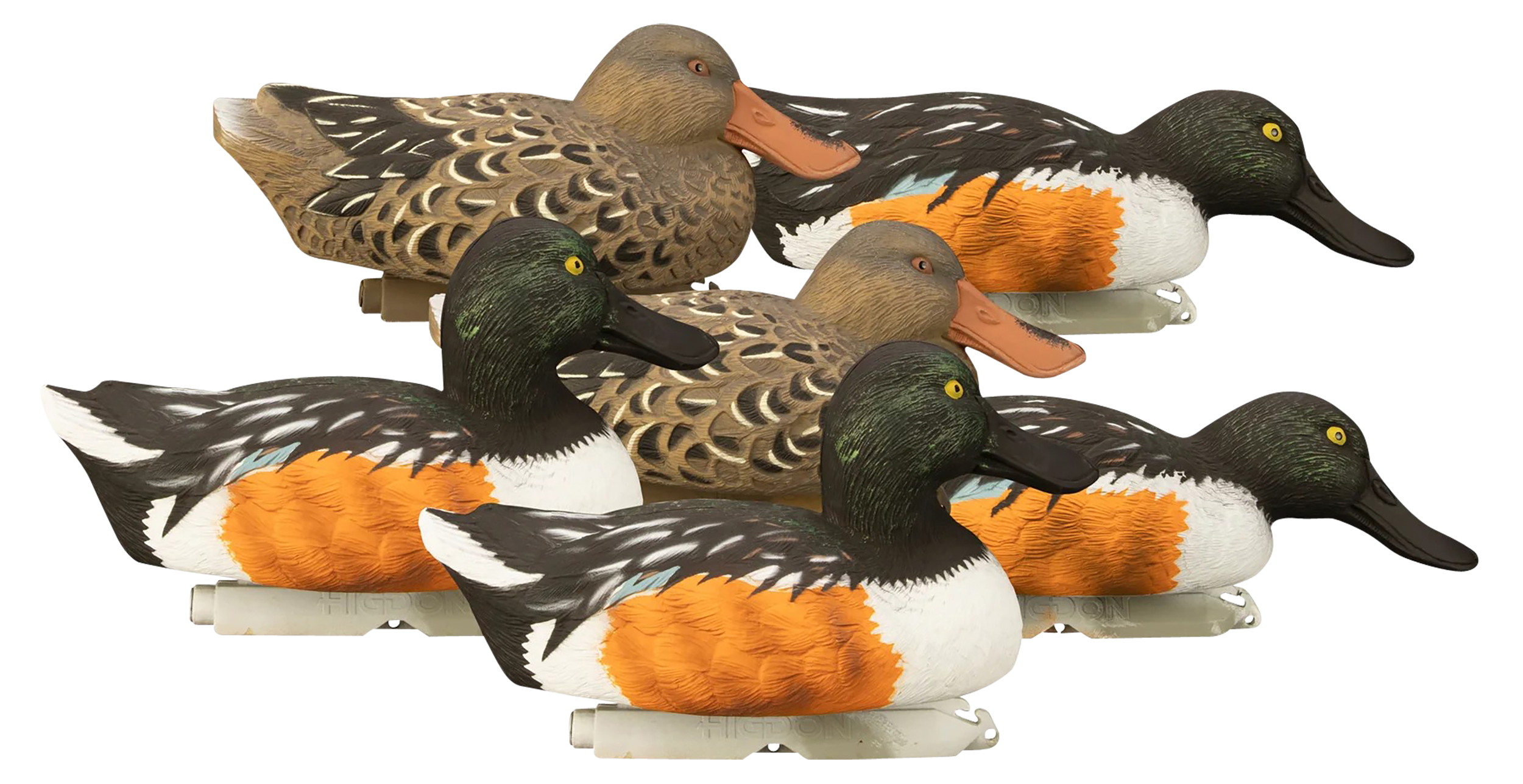 Higdon Decoys Standard Higdon 19963 Standard Shoveler Foam Fill 6pk